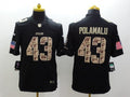 Men's Pittsburgh Steelers Troy Polamalu #43 Black Authentic Game Jersey1