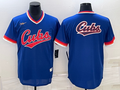 Men's Chicago Cubs Royal Road Cooperstown Collection Team Jersey1
